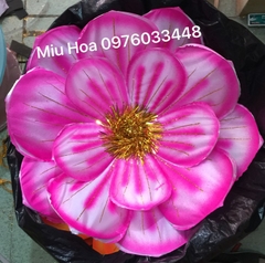 Hoa múa mẫu 86