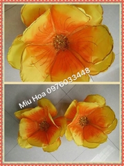 Hoa múa mẫu 87