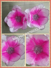Hoa múa mẫu 88