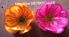 Hoa múa mẫu 90
