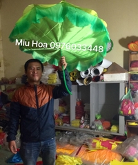 Hoa múa mẫu 91
