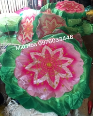 Hoa múa mẫu 92