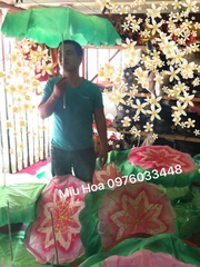 Hoa múa mẫu 92