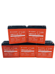 Ắc quy xe máy điện Ally Vegas EVS1