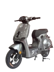 Xe máy điện Ally Ecocity