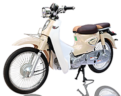 CUB 50CC NEW 2020