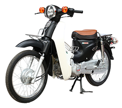 CUB 81 SUMOTOR 50CC