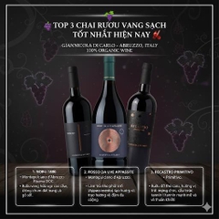 Rượu vang Rosso da Uve Appassite Giannicola di Carlo.