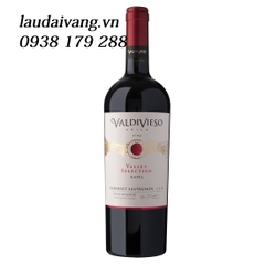 Rượu vang Chile Valdivieso Valley Selection Grand Reserva