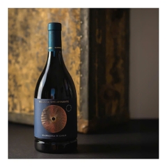 Rượu vang Rosso da Uve Appassite Giannicola di Carlo.