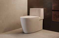 BỒN CẦU LIỀN KHỐI SỨ TRẮNG XẢ NHẤN KA3598