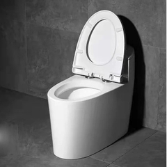 KA3316 - Bồn cầu liền khối , sứ nung tráng men nano tuyết cao cấp