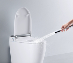 K6927 - Bồn cầu thông minh cao cấp full chức năng