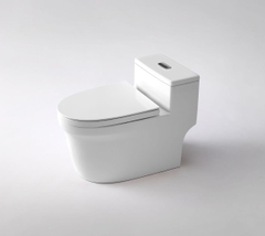 BỒN CẦU LIỀN KHỐI TRẮNG SỨ K8070W