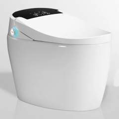 K6906 - Bồn cầu thông minh cao cấp full chức năng, tự động mở nắp, sấy khô, sưởi ấm ghế ngồi...