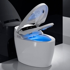 K6905A - Bồn cầu thông minh cao cấp full chức năng, tự động mở nắp, sấy khô, sưởi ấm ghế ngồi...