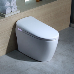 K6924 - Bồn cầu thông minh cao cấp full chức năng, có xịt bọt