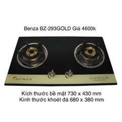 Bếp ga 2