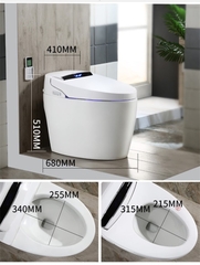 K6905A - Bồn cầu thông minh cao cấp full chức năng, tự động mở nắp, sấy khô, sưởi ấm ghế ngồi...