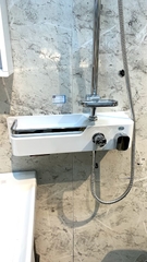 SC3311 - Sen cây nhiệt độ củ bàn to đồng mạ crom trắng bóng cao cấp