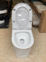KA602 - Bồn cầu liền khối sứ nung tráng men trắng vàng cao cấp