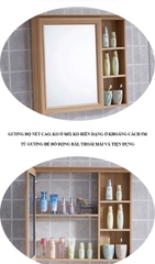 TC2081 - Tủ chậu nhựa PVC, mặt chậu sứ liền khối âm, Kích thước 48x80cm