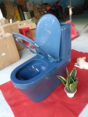 BỒN CẦU LIỀN KHỐI XANH VIỀN VÀNG KA5329