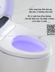 K6934- Bồn cầu thông minh cao cấp full chức năng, tự động mở nắp, sấy khô, sưởi ấm ghế ngồi...