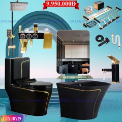 LUXURY29 - Combo phòng tắm cao cấp . Bồn cầu liền khối, chậu sứ treo màu đen viền vàng