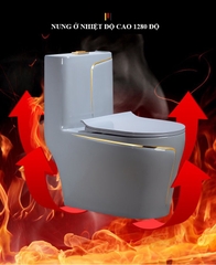 BỒN CẦU LIỀN KHỐI GHI XÁM SỌC VÀNG KA5325
