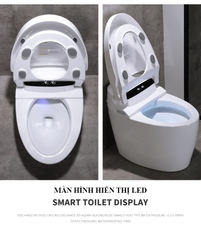 K6905A - Bồn cầu thông minh cao cấp full chức năng, tự động mở nắp, sấy khô, sưởi ấm ghế ngồi...