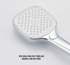 SC3219 - Sen cây nhiệt độ củ lớn đồng mạ crom bóng cao cấp
