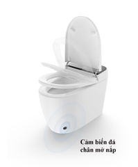 K6927 - Bồn cầu thông minh cao cấp full chức năng