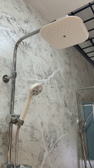 SC3311 - Sen cây nhiệt độ củ bàn to đồng mạ crom trắng bóng cao cấp
