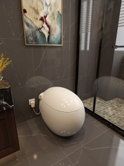 K6903 - Bồn cầu trứng thông minh cao cấp full chức năng, tự động mở nắp, sấy khô, sưởi ấm ghế ngồi...