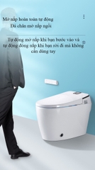 K6904- Bồn cầu thông minh cao cấp full chức năng, tự động mở nắp, sấy khô, sưởi ấm ghế ngồi...