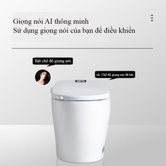 K6904- Bồn cầu thông minh cao cấp full chức năng, tự động mở nắp, sấy khô, sưởi ấm ghế ngồi...