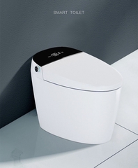 K6907 - Bồn cầu thông minh cao cấp full chức năng, tự động mở nắp, sấy khô, sưởi ấm ghế ngồi...