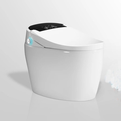 K6906 - Bồn cầu thông minh cao cấp full chức năng, tự động mở nắp, sấy khô, sưởi ấm ghế ngồi...