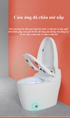 K6905A - Bồn cầu thông minh cao cấp full chức năng, tự động mở nắp, sấy khô, sưởi ấm ghế ngồi...
