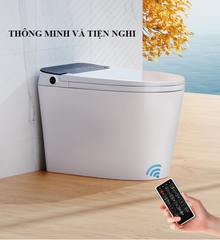 K6908 - Bồn cầu thông minh cao cấp full chức năng, tự động mở nắp, sấy khô, sưởi ấm ghế ngồi...