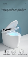 K6910 - Bồn cầu thông minh cao cấp full chức năng, tự động mở nắp, sấy khô, sưởi ấm ghế ngồi...