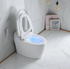 K6916 - Bồn cầu thông minh cao cấp full chức năng,  có xịt bọt