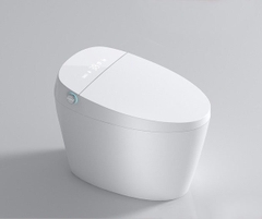 K6922 - Bồn cầu thông minh cao cấp full chức năng, có xịt bọt