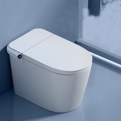 K6909 - Bồn Cầu Thông Minh nắp ngồi hình chữ U Vòng Mở Rộng Chỗ Ngồi. Bể Chứa Nước Giấu Kích Thước Lớn