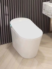 K6912 - Bồn cầu thông minh cao cấp full chức năng, tự động mở nắp, sấy khô, sưởi ấm ghế ngồi...