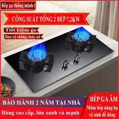 SV229 - Bếp gas âm 2 lò sevilla. Kích thước mặt kính: 750x450mm