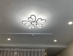 OT006 - 5 - Đèn pha lê ốp trần 5 cánh cao cấp đường kính 60cm