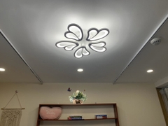 OT006 - 5 - Đèn pha lê ốp trần 5 cánh cao cấp đường kính 60cm