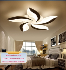 OT010 - Đèn ốp trần decor cao cấp
